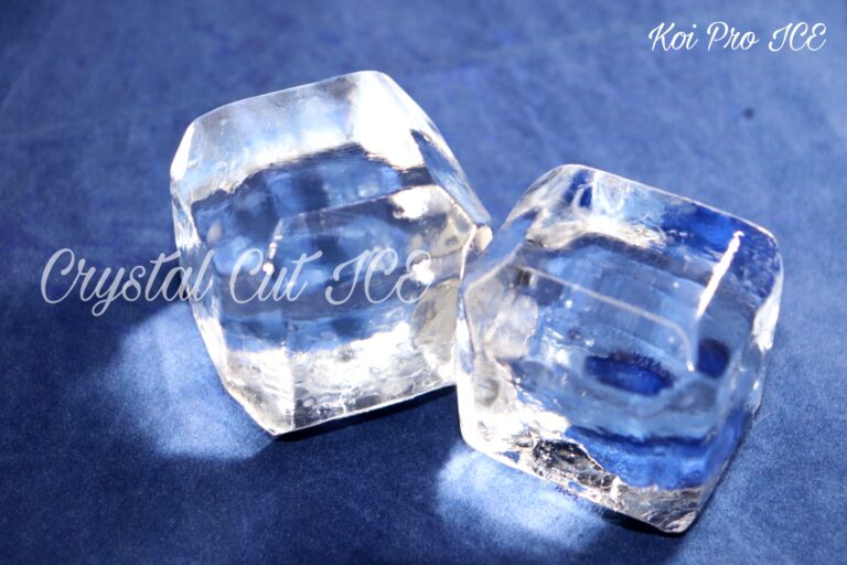 (現品)氷山　大株 かみのやま樹氷昼号 2021 | 山形 まるごと観光情報サイト「VISIT